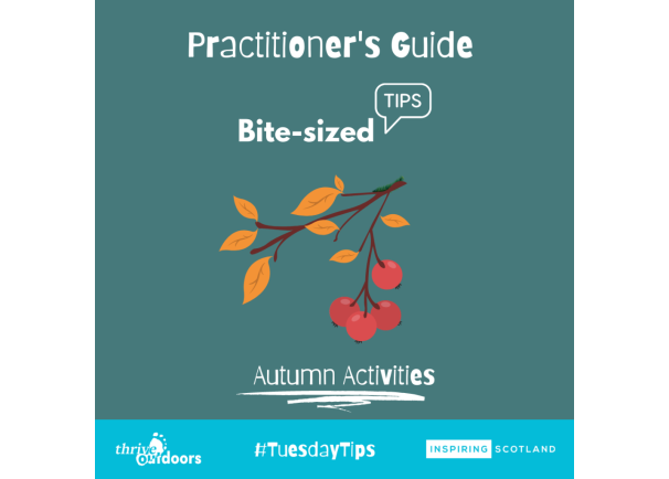 Practitioner’s Guide Bite-sized tips: Autumn Tips