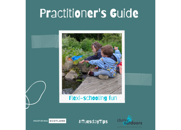 A Practitioner’s Guide: Flexi-schooling Fun