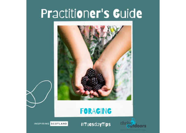 A Practitioner’s Guide: Foraging