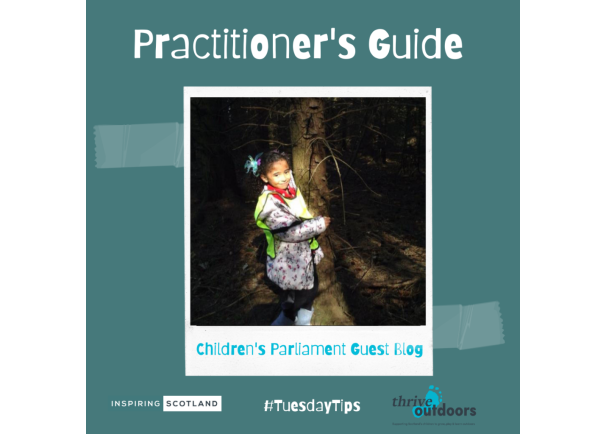 A Practitioner’s Guide: Children’s Parliament Guest Blog
