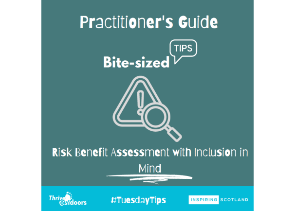 Practitioner’s Guide Bite-sized tips: Risk Benefit Assessment with Inclusion in Mind