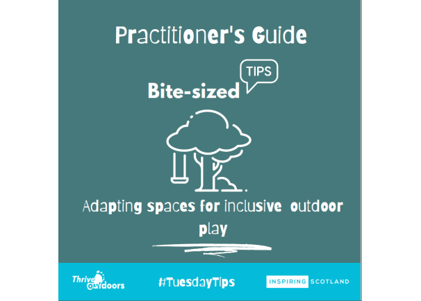 Practitioners Guide Bite-sized tips: Adapting spaces for inclusive outdoor play