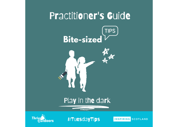 Practitioner’s Guide Bite-sized tips: play in the dark