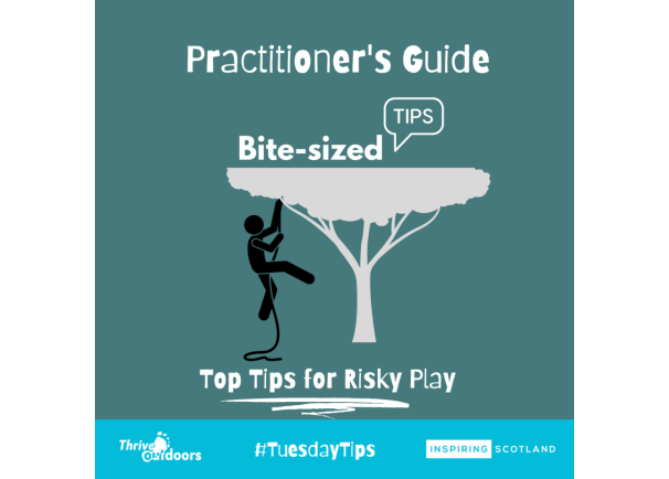 Practitioner’s Guide Bite-sized tips: Risky Play
