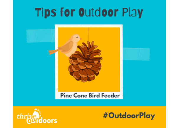 Pine Cone Bird feeder