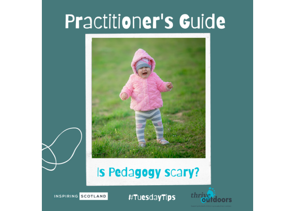 A Practitioner’s Guide: Unpacking Pedagogy