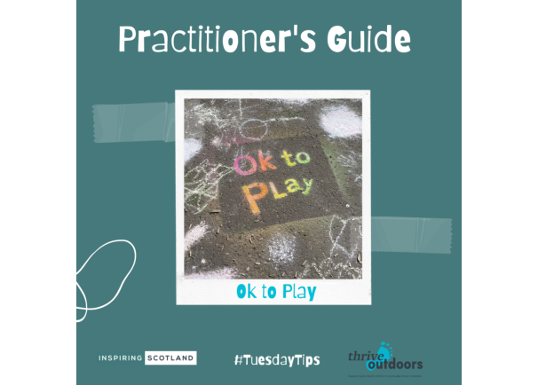 Practitioners Guide: Ok to Play