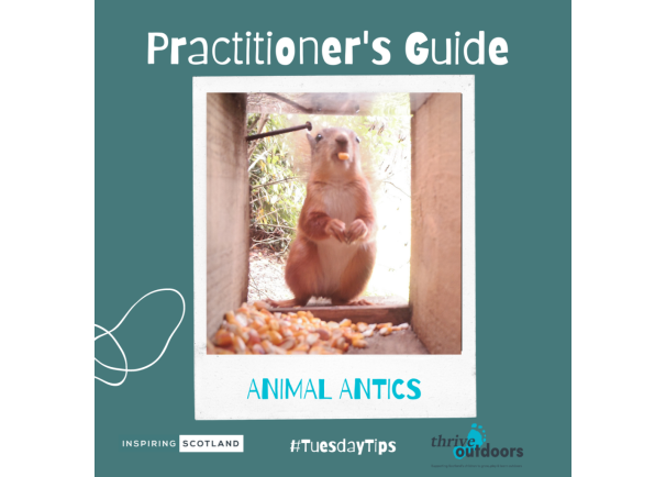 A Practitioner’s Guide: Animal antics