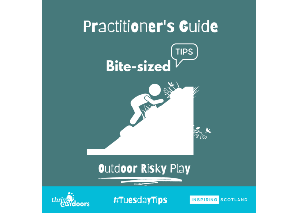 Practitioners Guide-Bite-sized tips: Risky Play